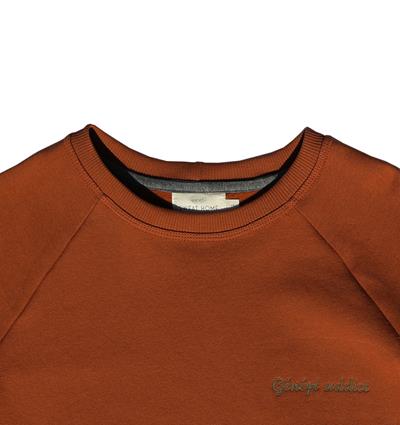 Sweat col rond homme coloris Rouille Génépi addict - Photo 3