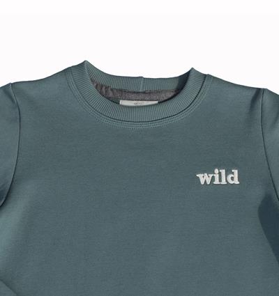 Sweat col rond ado coloris Vert tendre Wild - Photo 3